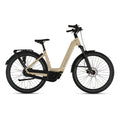 Starly city Pro Wave met Kettingkast Elektrische Fiets - Mountain Grey - 55cm - AE-trading