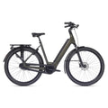 Superior eWay 6.0 - Dark Green Matte - 54cm - Lage Instap - AE-trading