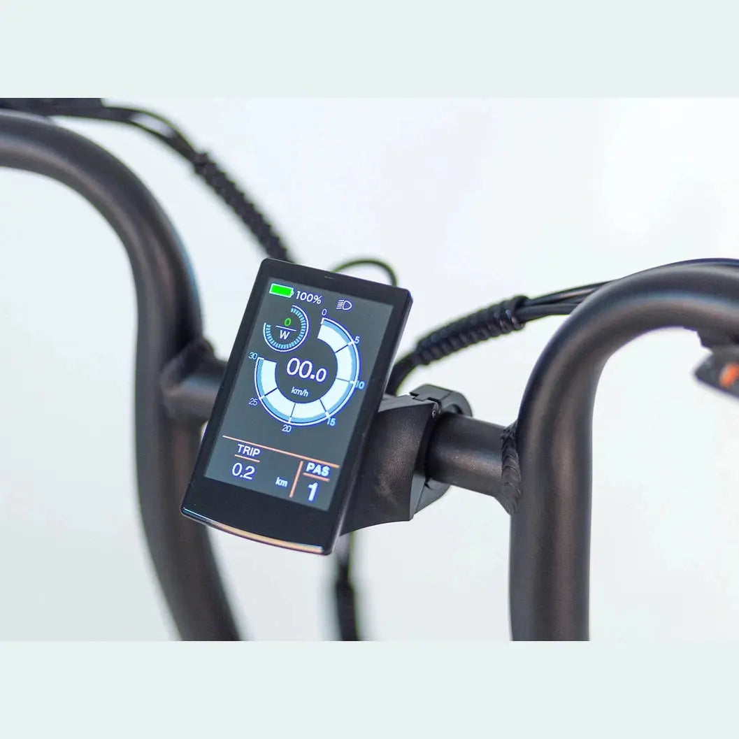 Tomos Flexer Fatbike – Mat Zwart – Hoge Instap - AE-trading