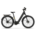 Urban Jungle Ginza 3.0 Elektrische Fiets - Man L (49cm) - Rainbow Silver - 625Wh (2025) - AE-trading