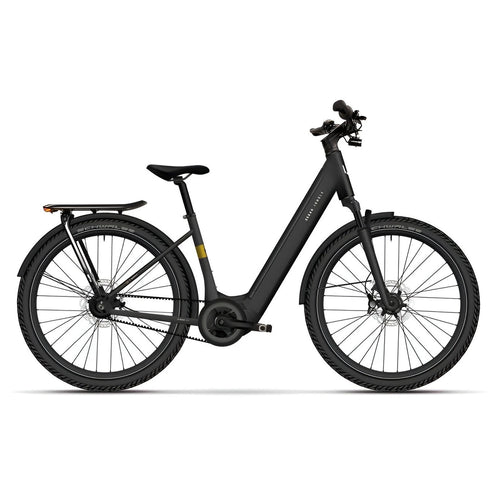 Urban Jungle Ginza 3.0 Elektrische Fiets - Man L (49cm) - Rainbow Silver - 625Wh (2025) - AE-trading