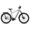Urban Jungle Ginza 3.0 Elektrische Fiets - Man L (49cm) - Rainbow Silver - 625Wh (2025) - AE-trading