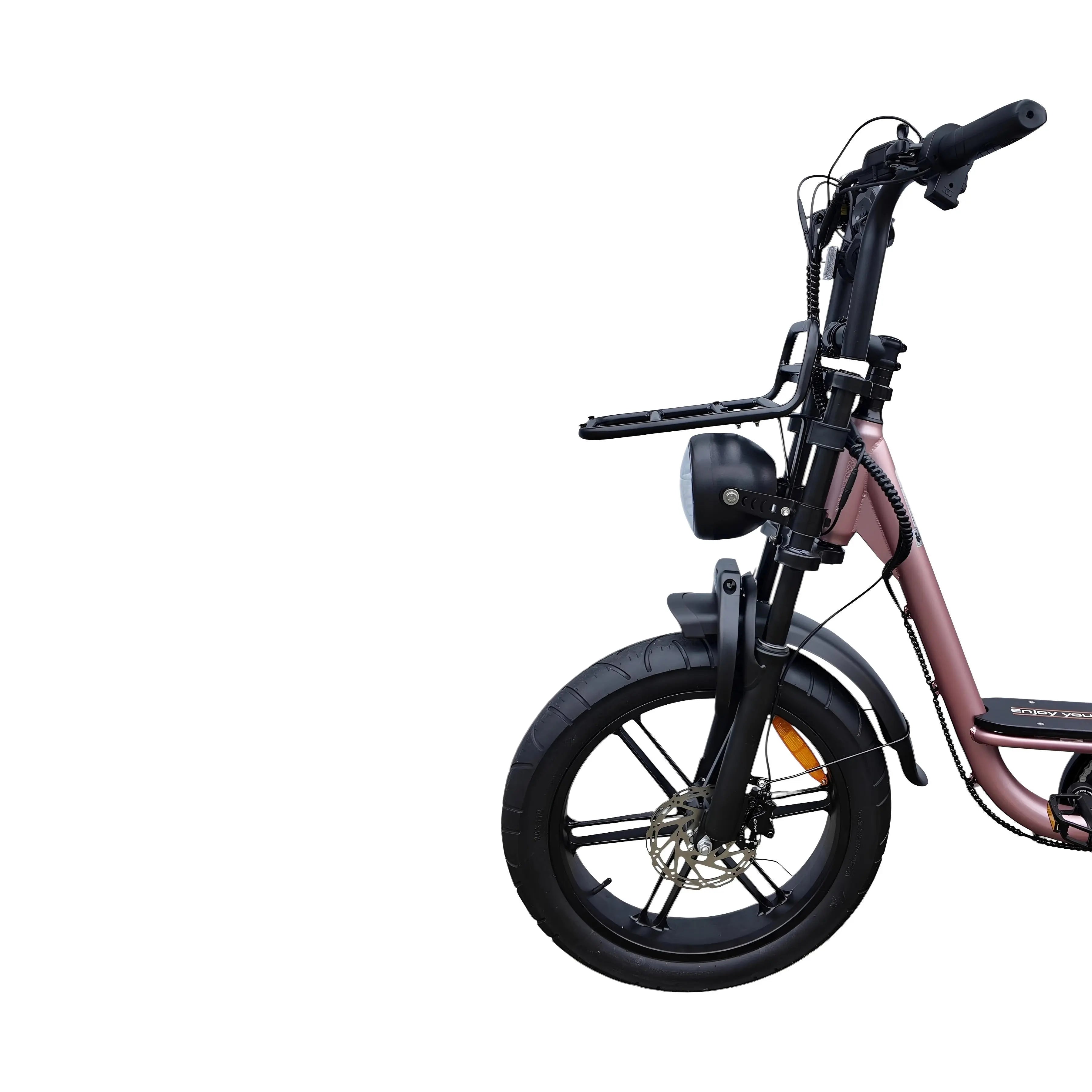 V20 Comfort Fatbike Rose Gold 2026 - AE-trading