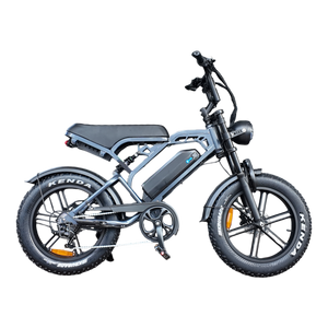 V20 Pro Fatbike Donkergrijs 2026 – Hydraulische Remmen - AE-trading