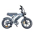 V20 Pro - Fatbike - Donkergrijs - 2026 Model - AE-trading