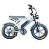 V20 Pro Fatbike Lichtgrijs 2026 – Hydraulische Remmen - AE-trading