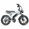 V20 Pro - Fatbike - Lichtgrijs - 2026 Model - AE-trading