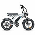 V20 Pro - Fatbike - Lichtgrijs - 2026 Model - AE-trading