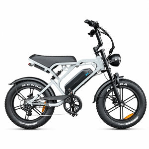 V20 Pro - Fatbike - Lichtgrijs - 2026 Model - AE-trading