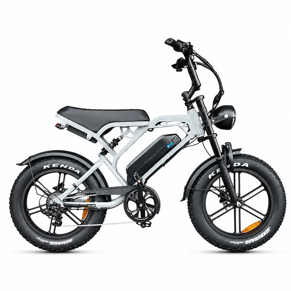 V20 Pro - Fatbike - Lichtgrijs - 2026 Model - AE-trading