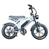 V20 Pro - Fatbike - Lichtgrijs - 2026 Model - AE-trading