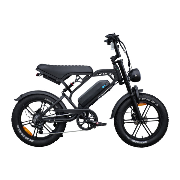 V20 Pro - Fatbike - Zwart - 2026 Model - AE-trading