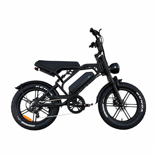 V20 Pro - Fatbike - Zwart - 2026 Model - AE-trading