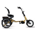 Van Rixtel Horizon – Elektrische Driewieler – 800 Wh – Mango - AE-trading