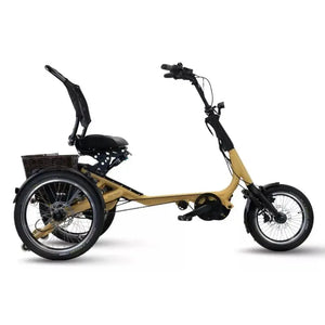 Van Rixtel Horizon – Elektrische Driewieler – 800 Wh – Mango - AE-trading