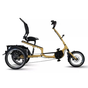 Van Rixtel Trust – Mango – 545Wh – Elektrische Driewieler - AE-trading