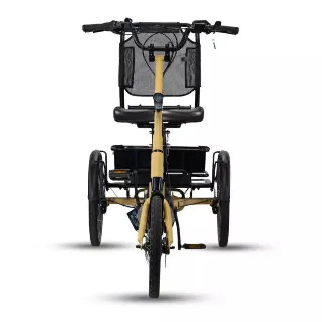 Van Rixtel Trust – Mango – 545Wh – Elektrische Driewieler - AE-trading