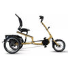 Van Rixtel Trust – Mango – 800Wh – Elektrische Driewieler - AE-trading