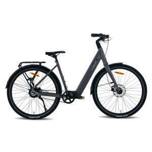 Vogue Motion - Lage Instap - Cement Grey - Elektrische Fiets - AE-trading