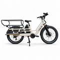 Vogue Wonder 2025 - Elektrische Longtail - Grijs - AE-trading