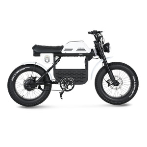 Ape Ryder Gibbon - Fatbike - Wit - 20x4.5 inch Kenda Banden - Accu 960Wh (48V, 20Ah) - 250W Achterwielmotor - Hydraulische Remmen - AE-trading