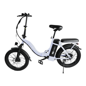 Windgoo E20 - Elektrische Fatbike-Vouwfiets - Lichtpaars - 20x3 inch - 120 kg Draagvermogen - Accu 450Wh 36V, 12.5Ah - 250W Motor - 7 Shimano Versnellingen - Dubbele Schijfremmen