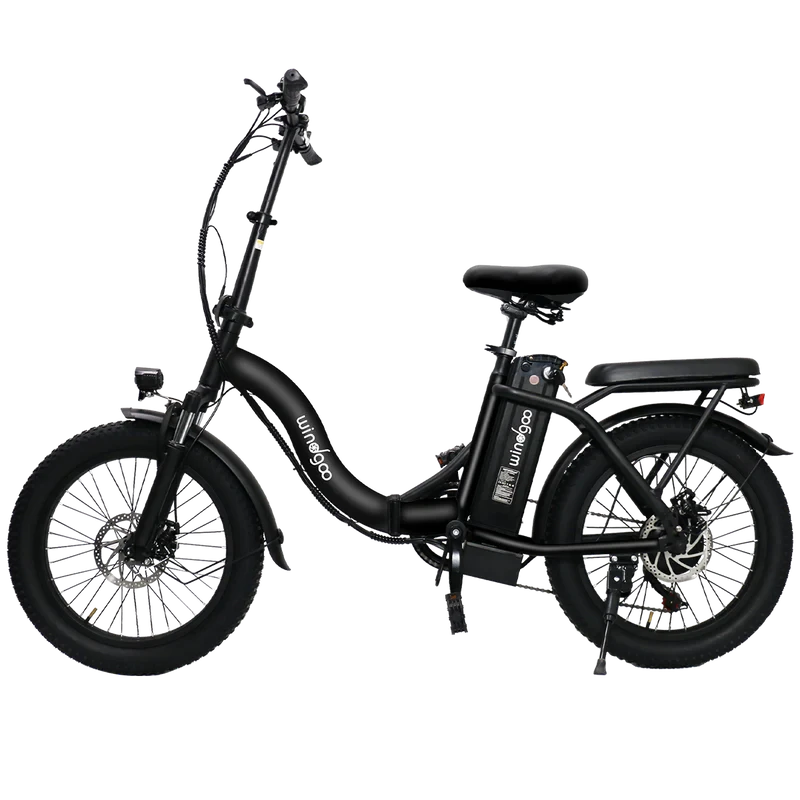 Windgoo E20 Elektrische Vouwfiets Fatbike Zwart - AE-trading
