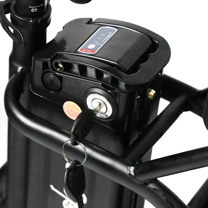 Windgoo E20 Elektrische Vouwfiets Fatbike Zwart Groen - AE-trading