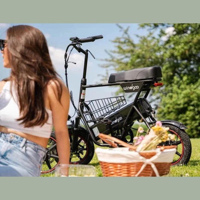 Windgoo F1 E-bike met Mandje 7,5Ah zwart 250W 14inch
