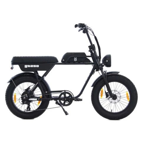 Agm Gt250 - Fatbike 12.8Ah Zwart Hydraulische Remmen Fatbike