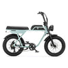 AGM GT250 - Fatbike - 12.8Ah - Grijs Parelmoer - Hydraulische remmen AE-trading