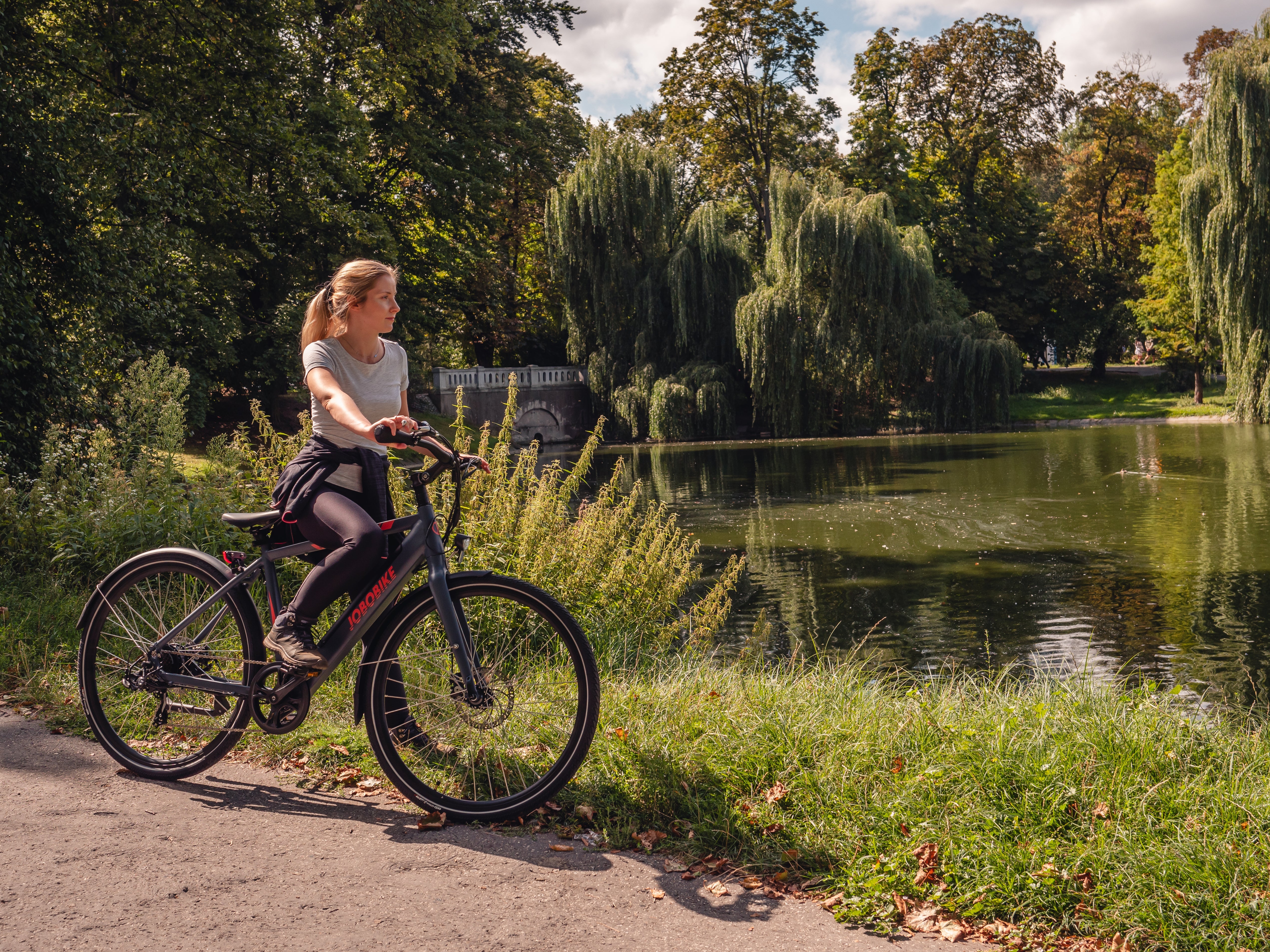 Jobobike Viva Elektrische fiets met 36V 10.4Ah Accu E-bike Blauw AE-trading