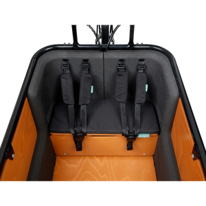 Veiligheidsgordels Cangoo Buckle Up - AE-trading