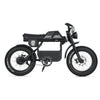 Ape Ryder Gibbon - Fatbike - Mat Zwart - 20x4.5 inch Kenda Banden - Accu 960Wh (48V, 20Ah) - 250W Achterwielmotor - Hydraulische Remmen - AE-trading