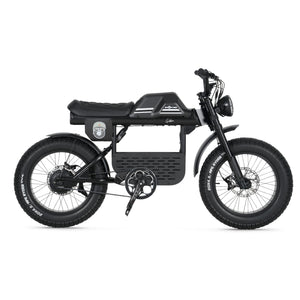 Ape Ryder Gibbon - Fatbike - Mat Zwart - 20x4.5 inch Kenda Banden - Accu 960Wh (48V, 20Ah) - 250W Achterwielmotor - Hydraulische Remmen - AE-trading