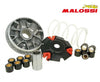 VARIATEUR MALOSSI MULTIVAR | GTS 250-300CC AE-trading