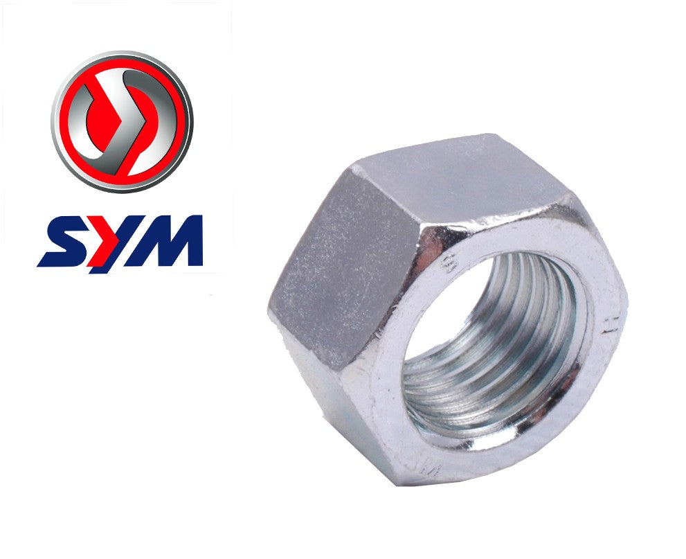 Krukasmoer Variateur OEM | Sym 4T AE-trading